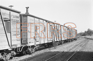 Staff_WP_-_438_R_thumbnail.jpg