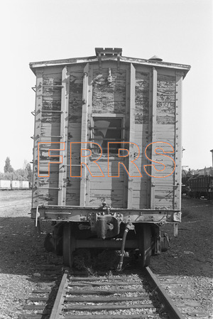 Staff_WP_-_440_R_thumbnail.jpg
