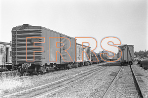Staff_WP_-_441_R_thumbnail.jpg