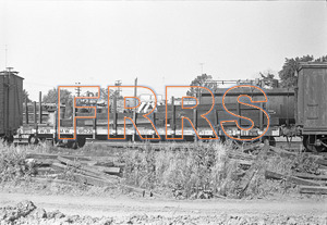 Staff_WP_-_443_R_thumbnail.jpg