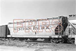 Staff_WP_-_450_R_thumbnail.jpg