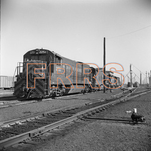 Staff_WP_-_463_R_thumbnail.jpg