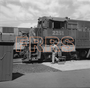 Staff_WP_-_469_R_thumbnail.jpg