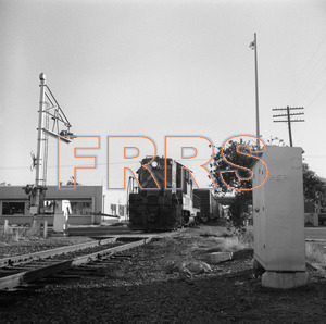 Staff_WP_-_487_R_thumbnail.jpg