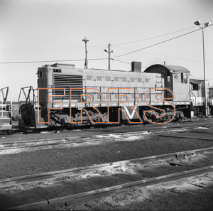 Staff_WP_-_488_R_thumbnail.jpg