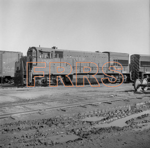 Staff_WP_-_495_R_thumbnail.jpg