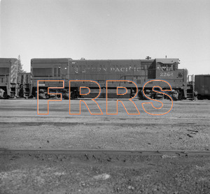 Staff_WP_-_499_R_thumbnail.jpg