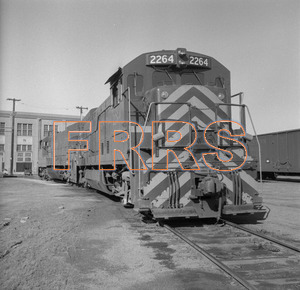 Staff_WP_-_501_R_thumbnail.jpg