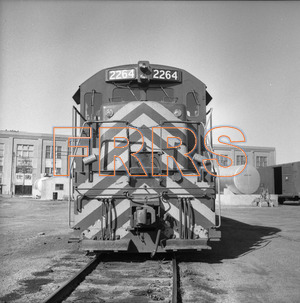 Staff_WP_-_502_R_thumbnail.jpg