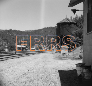 Staff_WP_-_505_R_thumbnail.jpg