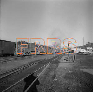 Staff_WP_-_513_R_thumbnail.jpg