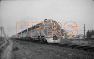 Staff_WP_-_520_R_thumbnail.jpg