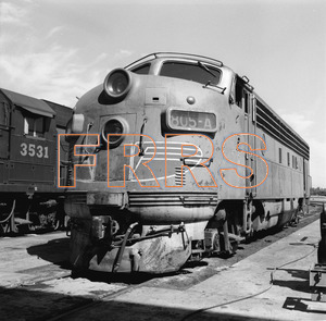 Staff_WP_-_525_R_thumbnail.jpg