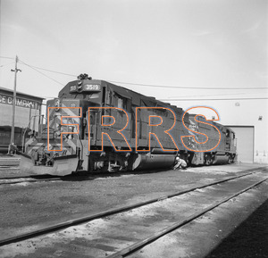 Staff_WP_-_531_R_thumbnail.jpg