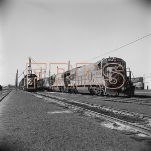 Staff_WP_-_535_R_thumbnail.jpg