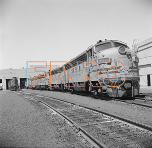 Staff_WP_-_537_R_thumbnail.jpg