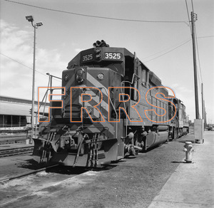 Staff_WP_-_539_R_thumbnail.jpg