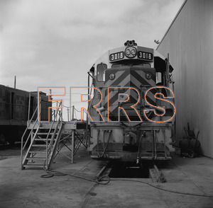 Staff_WP_-_540_R_thumbnail.jpg