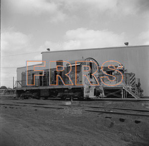 Staff_WP_-_541_R_thumbnail.jpg