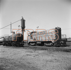 Staff_WP_-_542_R_thumbnail.jpg