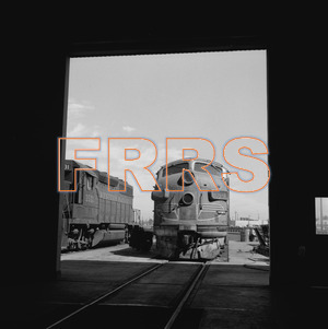 Staff_WP_-_546_R_thumbnail.jpg
