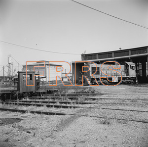 Staff_WP_-_551_R_thumbnail.jpg