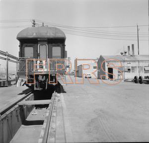 Staff_WP_-_561_R_thumbnail.jpg
