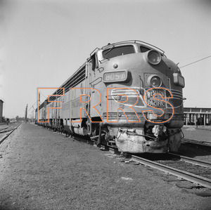 Staff_WP_-_562_R_thumbnail.jpg