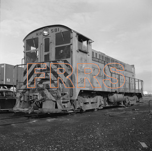 Staff_WP_-_565_R_thumbnail.jpg