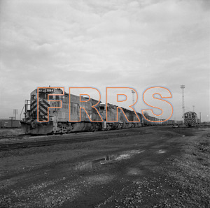 Staff_WP_-_569_R_thumbnail.jpg