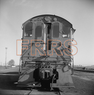 Staff_WP_-_572_R_thumbnail.jpg