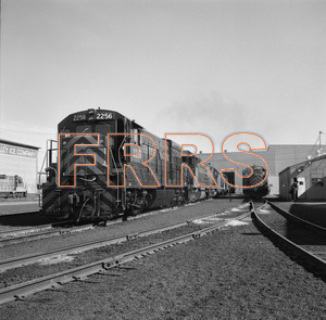 Staff_WP_-_573_R_thumbnail.jpg
