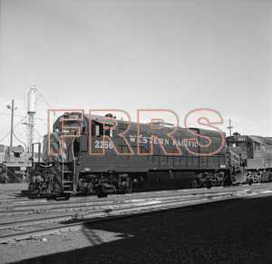 Staff_WP_-_574_R_thumbnail.jpg