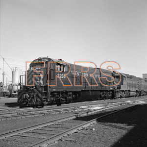 Staff_WP_-_575_R_thumbnail.jpg