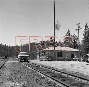 Staff_WP_-_580_R_thumbnail.jpg