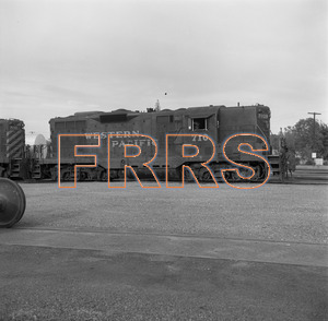 Staff_WP_-_590_R_thumbnail.jpg