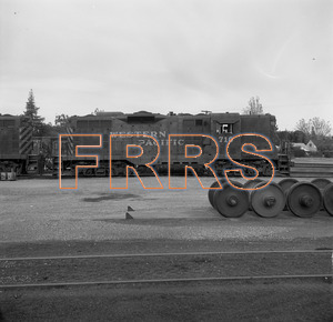 Staff_WP_-_591_R_thumbnail.jpg