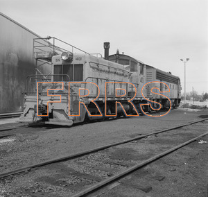 Staff_WP_-_598_R_thumbnail.jpg