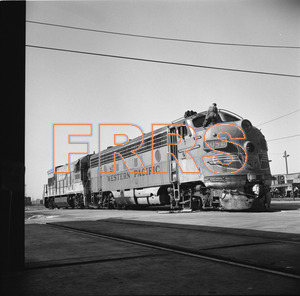 Staff_WP_-_615_R_thumbnail.jpg