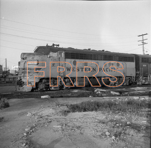 Staff_WP_-_616_R_thumbnail.jpg