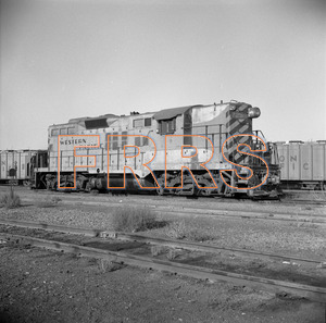 Staff_WP_-_619_R_thumbnail.jpg