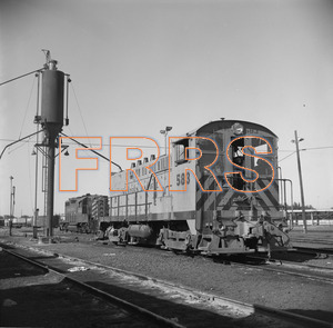 Staff_WP_-_622_R_thumbnail.jpg
