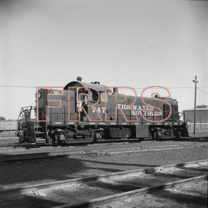 Staff_WP_-_623_R_thumbnail.jpg