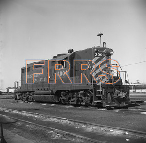 Staff_WP_-_625_R_thumbnail.jpg