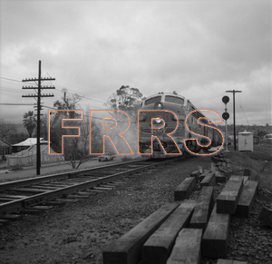 Staff_WP_-_628_R_thumbnail.jpg
