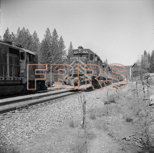 Staff_WP_-_635_R_thumbnail.jpg