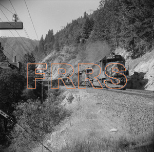Staff_WP_-_636_R_thumbnail.jpg