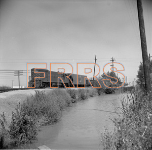Staff_WP_-_639_R_thumbnail.jpg