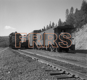 Staff_WP_-_642_R_thumbnail.jpg