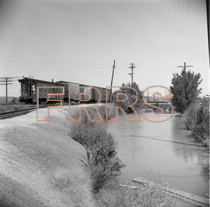Staff_WP_-_644_R_thumbnail.jpg